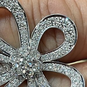 Meet your Posher, Jodie